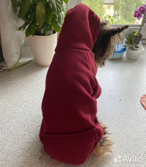 Кофта для собак