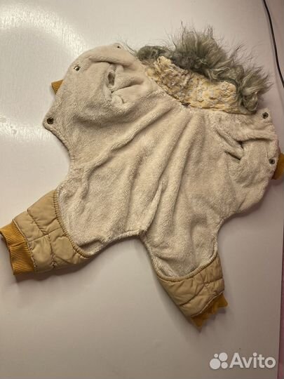 Зимний комбинезон для собак мелких пород