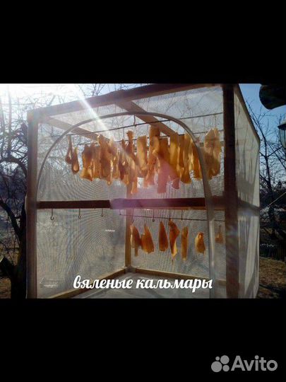 Разборные сушилки