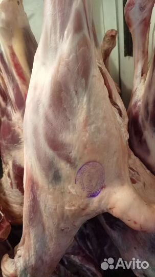 Мясо халяль из Дагестана