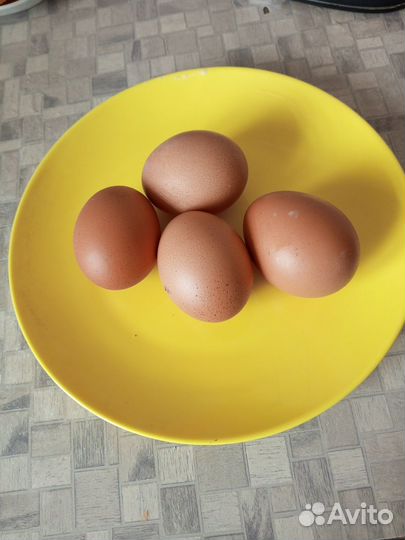 Продукты питания