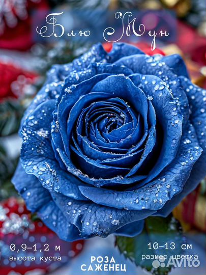 Инфографика для маркетплейсов