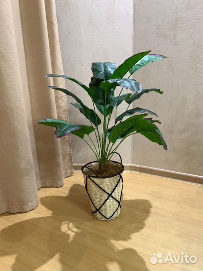 Стрелиция искусственная (банановая пальма)