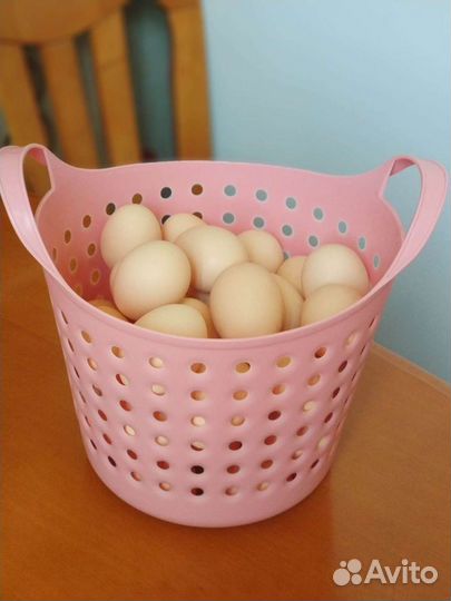 Домашние куриные яйца