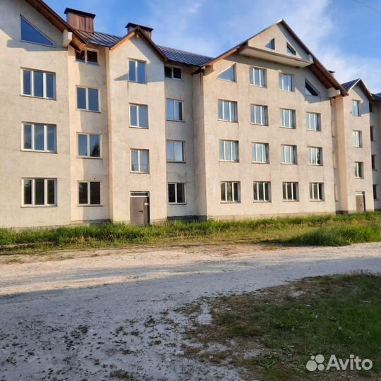 Ищу инвестора, партнера. Высокий доход + залог