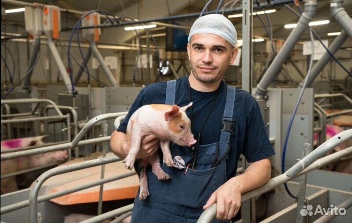 Работник по уходу за животными