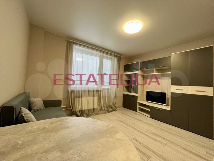 Квартира-студия, 24,1 м², 4/17 эт.