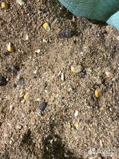 Корма для животных