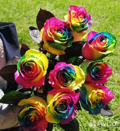 Роза Радужная Необычный подарок