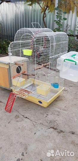 Клетка для попугая