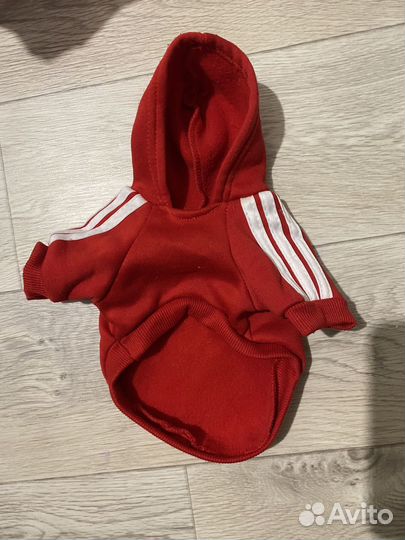 Одежда для маленьких пород собак