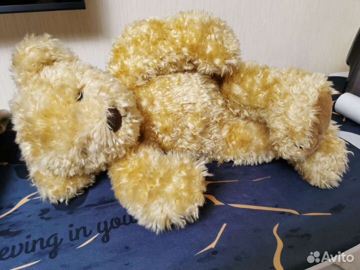 Мишка из Японии