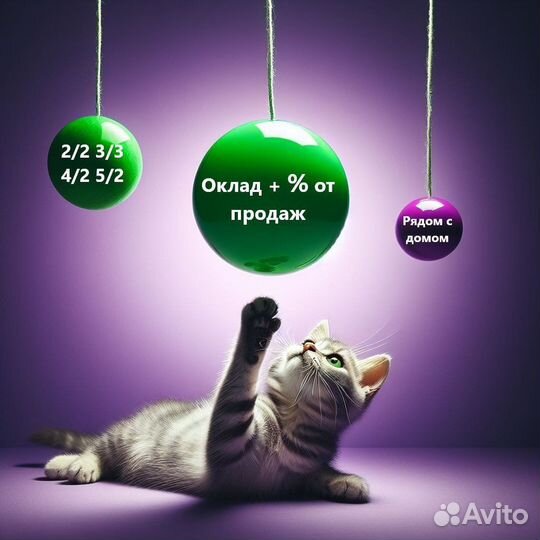 Продавец без опыта (г. Чайковский) Ермак ТЦ