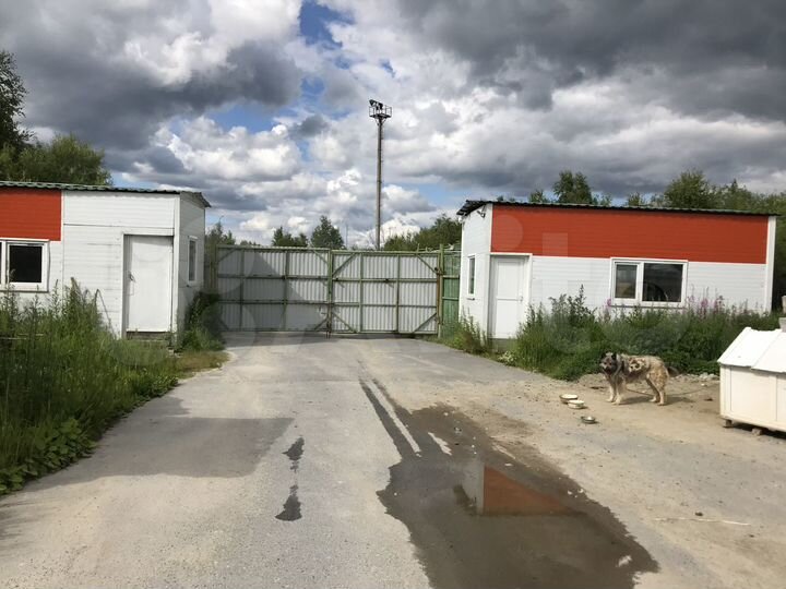 Производственное помещение, 1000 м²