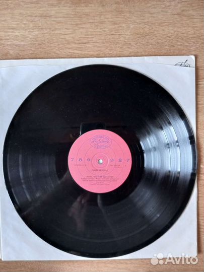Виниловая пластинка