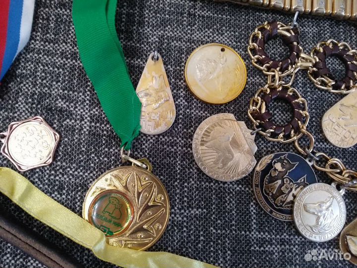 Аксессуары для собак