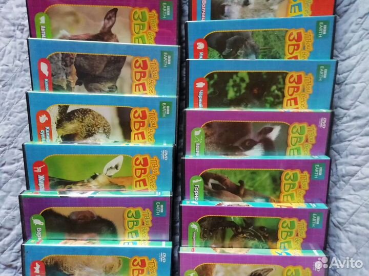 DVD о животных Твои весёлые друзья зверята