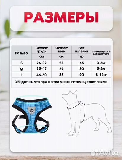 Шлейка прогулочная с поводком для собак и кошек