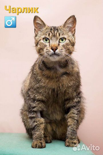 Спасенные из Зоны