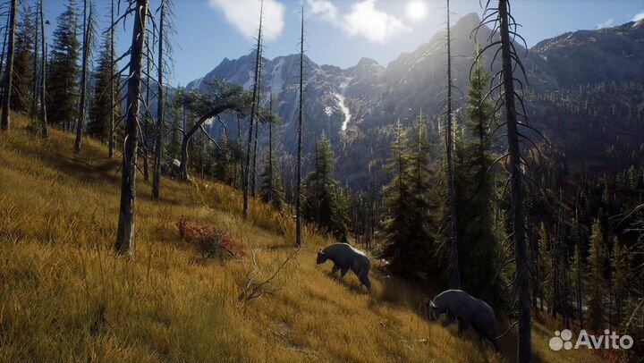 Way of the Hunter PS5, русские субтитры