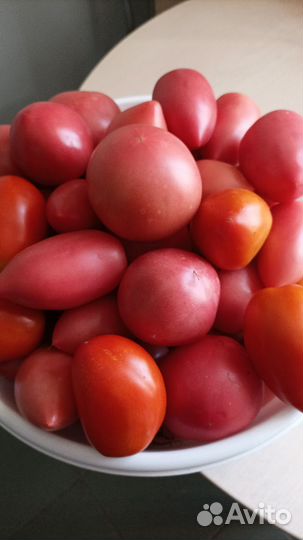 Помидоры свежие