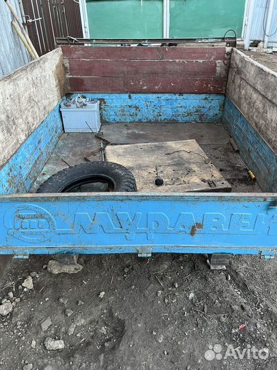 Продам муравей