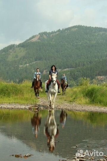 Конные прогулки по берегу Енисея