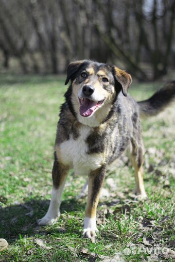 Молодая, ласковая и очень нежная девочка