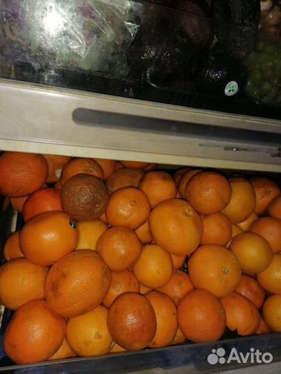 Продам яблоки