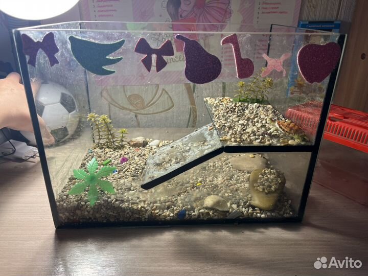 Аквариум для черепах