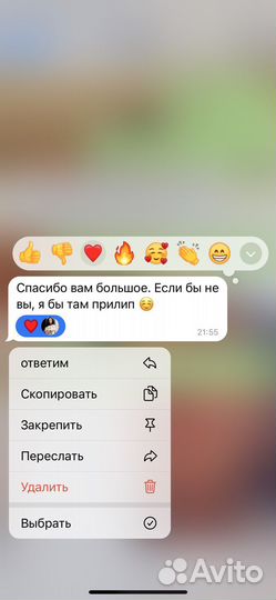 Репетитор по русскому языку и литературе