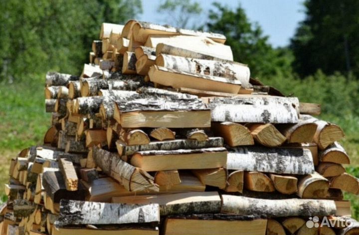 Дрова березовые