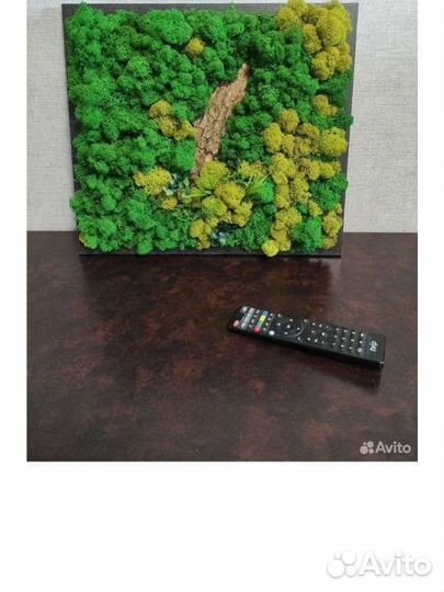 Панно из стабилизированного мха