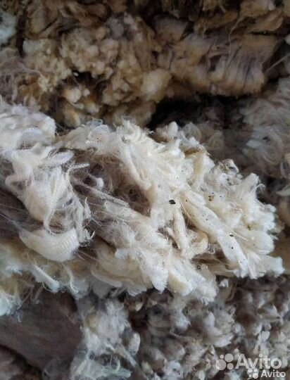 Шерсть меринос