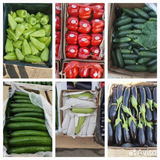 Овощи в асс. огурец, перец, баклажан, кабачок итд