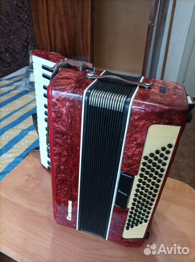 Аккордеон Сюита