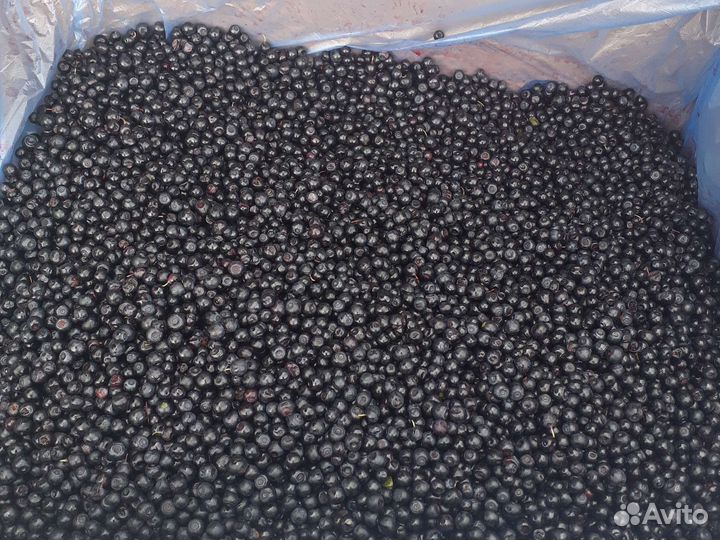 Черника замороженная