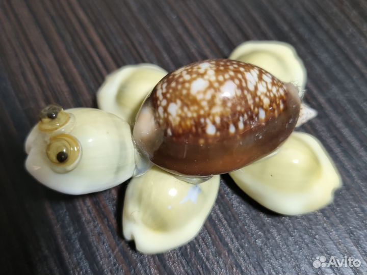 Сувениры из ракушек