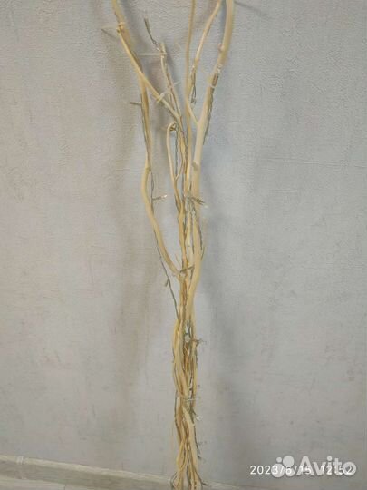 Декоративные ветки