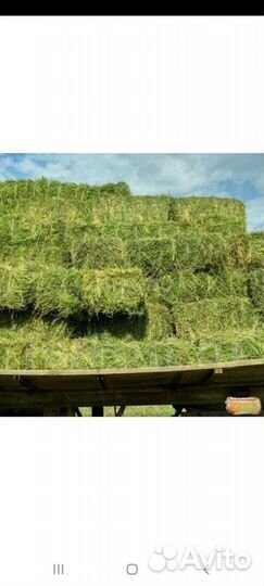 Салома в тюках