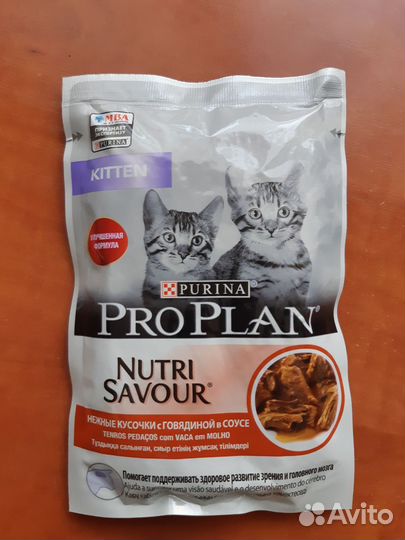 Влажный корм для котят