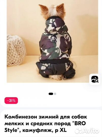 Одежда для собак