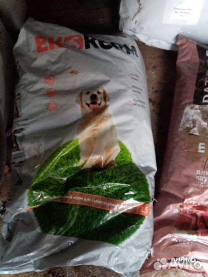 Корм для собак