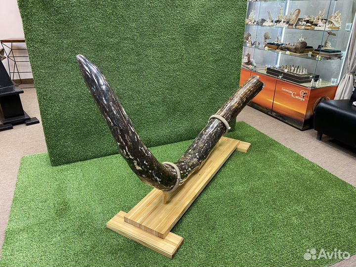 Сувенир, бивень мамонта