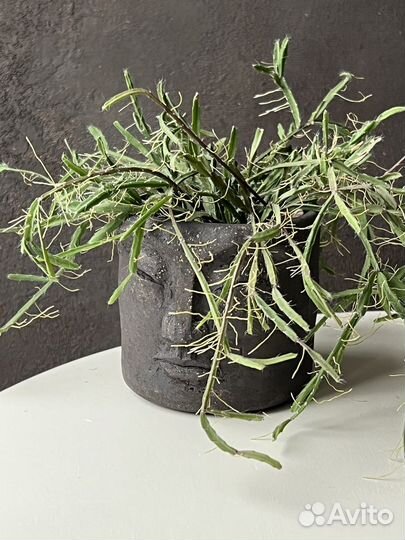 Кашпо Шаман 9см - авторская керамика