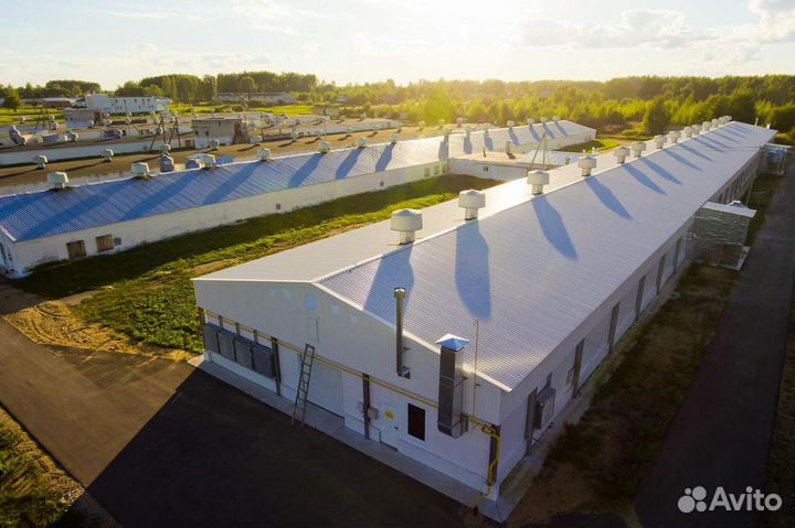 Вахта Сортировщик(ца) от 15 смен г.Белгородская об