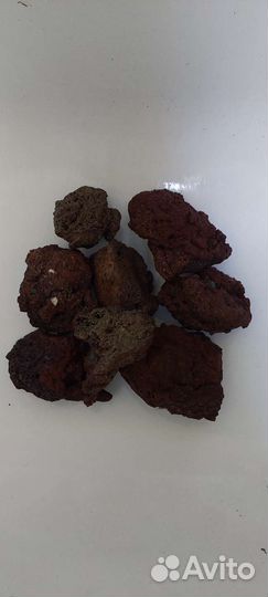 Все для аквариума