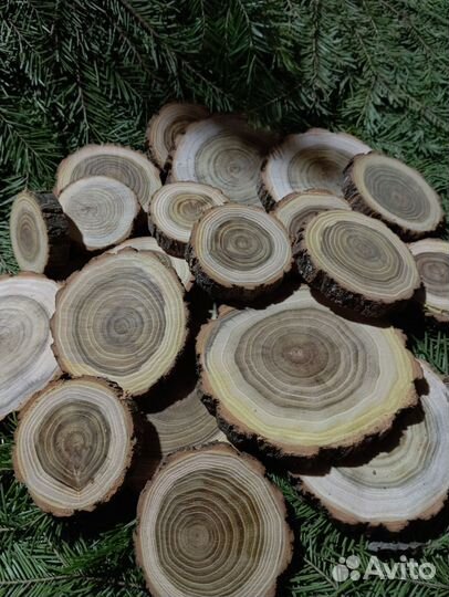 Торцевые спилы акации
