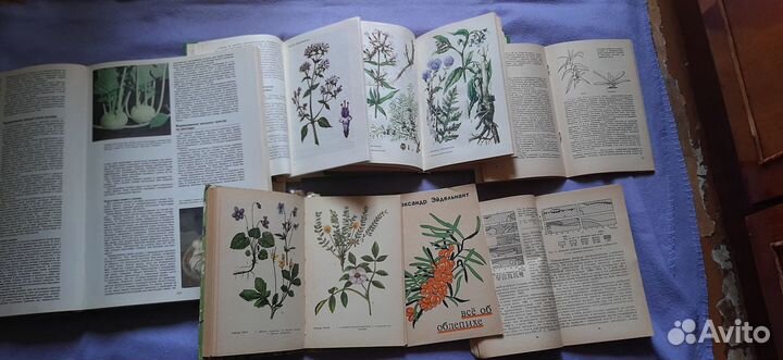 Энциклопедия садовода и полезные книги