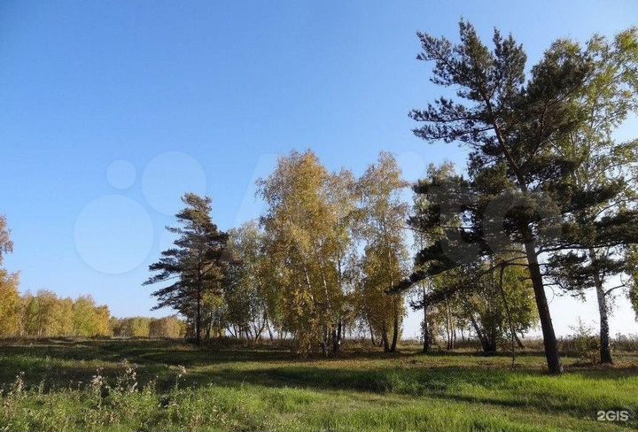 Участок 12 сот. (ИЖС)